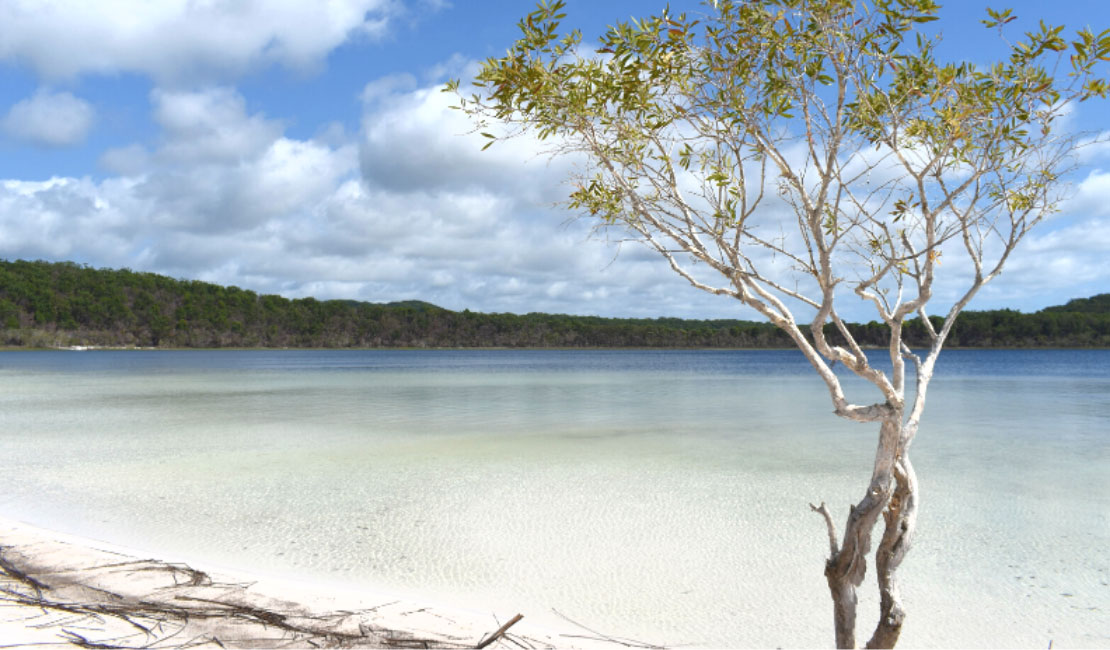 Lake Birrabeen - K'gari Fraser Island